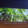 DSCF6502