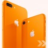 orange2