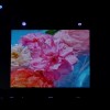 DSCF6486_resize