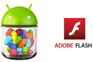 เทคนิคทำให้ Android 4.1 Jelly Bean สามารถเล่นแฟลชได้