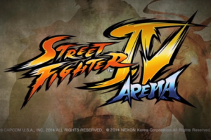 เปิดตัวเกมส์ Street Fighter IV Arena จับมือสู้แบบเเท็คทีม 