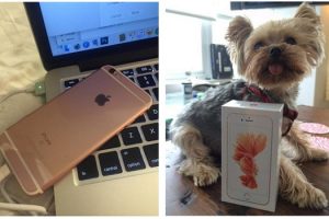 สาวจากเมือง San Diego รัฐ California ทวีตอวด ดีใจได้รับ iPhone 6s ส่งถึงบ้านก่อนใครในอเมริกา!