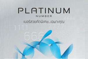 Platinum Number เบอร์สวยคัดพิเศษ จาก DTAC
