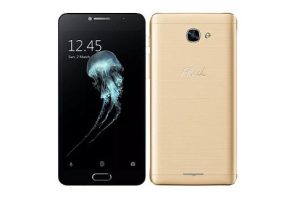 สร้างสรรค์ภาพถ่ายด้วย 15 ฟิลเตอร์สร้างอารมณ์ที่แตกต่างไปกับ Flash Plus 2