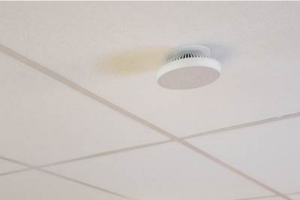 กลุ่มทรูเลือกใช้โซลูชั่น Dual Band Dot สำหรับการขยายโครงข่ายภายในอาคาร