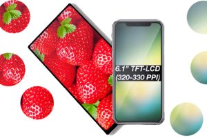 iPhone รุ่นจอ LCD ขนาด 6.1 นิ้ว จะมาพร้อมอัตราส่วน 18:9 ความละเอียด 2160x1080 พิกเซล และยืดหยุ่นสูง!