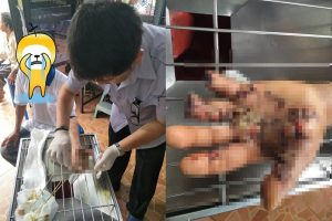 อุทาหรณ์!! มือถือระเบิดคามือหนุ่มพะเยา ทำนิ้วขาดกระจุย หลังซื้อสายชาร์จไม่ได้มาตรฐาน