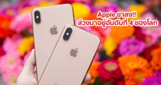 Apple ขาลง!! ล่วงมาอยู่อันดับที่ 4 หลังยอดขาย iPhone ลดลงทั่วโลก ล่าสุด OPPO ปาดหน้าขึ้นมาเป็นอันดับ 3 แล้ว
