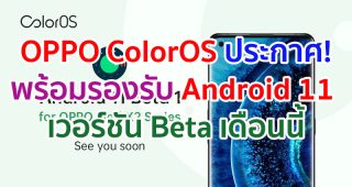 OPPO ColorOS ประกาศพร้อมรองรับ Android 11 เวอร์ชัน Beta แล้ว เดือนนี้!