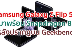 Samsung Galaxy Z Flip 5G จะมาพร้อม Snapdragon 865 หลังพบข้อมูลบน Geekbench