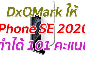 DxOMark ทดสอบกล้อง iPhone SE 2020 ทำได้ 101 คะแนน