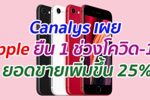 Canalys เผย Apple ยืน 1 ช่วงโควิด-19 ยอดขายเพิ่มขึ้น 25%