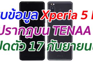 พบข้อมูล Sony Xperia 5 II ปรากฏบน TENAA เปิดตัว 17 กันยายนนี้