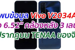 พบข้อมูล Vivo V2034A จอ 6.52