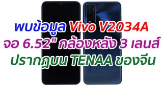 พบข้อมูล Vivo V2034A จอ 6.52