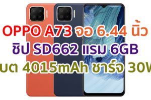 ราคา OPPO A73 2021 หน้าจอ AMOLED ชิปเซ็ต Snapdragon 662 กล้องหลัง 4 ตัว แบตอึด 4015mAh ชาร์จไว 30W