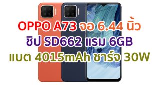 ราคา OPPO A73 2021 หน้าจอ AMOLED ชิปเซ็ต Snapdragon 662 กล้องหลัง 4 ตัว แบตอึด 4015mAh ชาร์จไว 30W