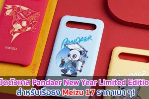 เปิดตัวเคส Pandaer New Year Limited Edition สำหรับเรือธง Meizu 17 ราคาเบา ๆ!