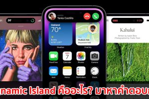 Dynamic Island ลูกเล่นจอใหม่จาก Apple คืออะไร? ทำงานอย่างไร? มาหาคำตอบกัน